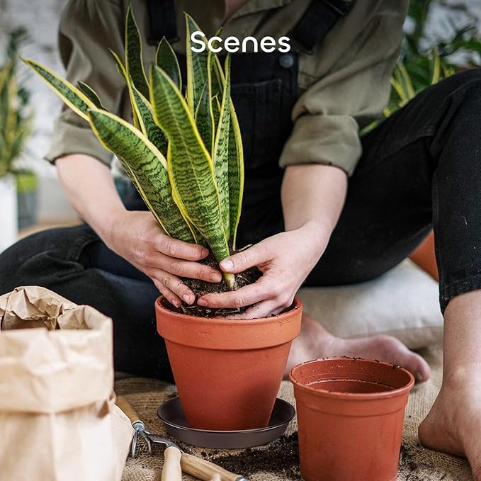GROWNEER 6 Packs 11.8 Inches Plant Saucer, Plastic Plant Trays for Pots, Heavy Duty Pot Drip Trays for Indoors Outdoor Flower Planters, Brown