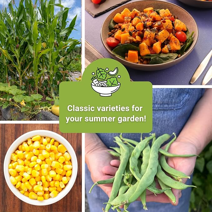 Sow Right Seeds - 3 Sisters Seed Collection for Planting - Packets of Bantam Sweet Corn, Kentucky Wonder Pole Bean, and Waltham Butternut Squash - Non-GMO Heirloom Seeds to Plant Home Vegetable Garden