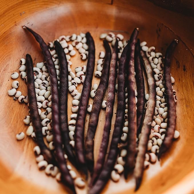 Pink-Eyed Purple Hull Cowpea - 4oz Bulk (~550 Seeds) - Heirloom Southern Field Pea Variety, USA-Grown, Non-GMO Purple Hull Pea Seeds for Planting Outdoors in The Home Garden, Thresh Seed Company