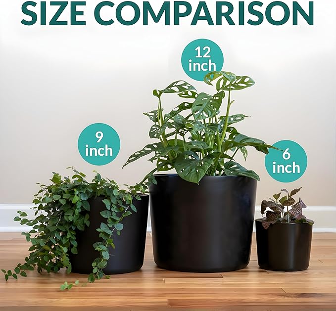 Willowy 6 Inch Black Ceramic Planter - 6 Inch Black Ceramic Pots for Plants Like Aloe, Baby Rubber, Jade, Money, and Snake - Pot with Drainage