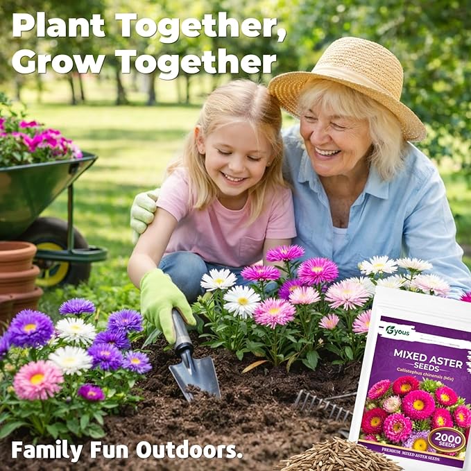Aster Seeds Mix (5 Colors) – 2,000+ Flower Seeds for Planting, Easy-Grow Annual Blooms for Garden Beds & Pots, Cut Flower & Pollinator Garden