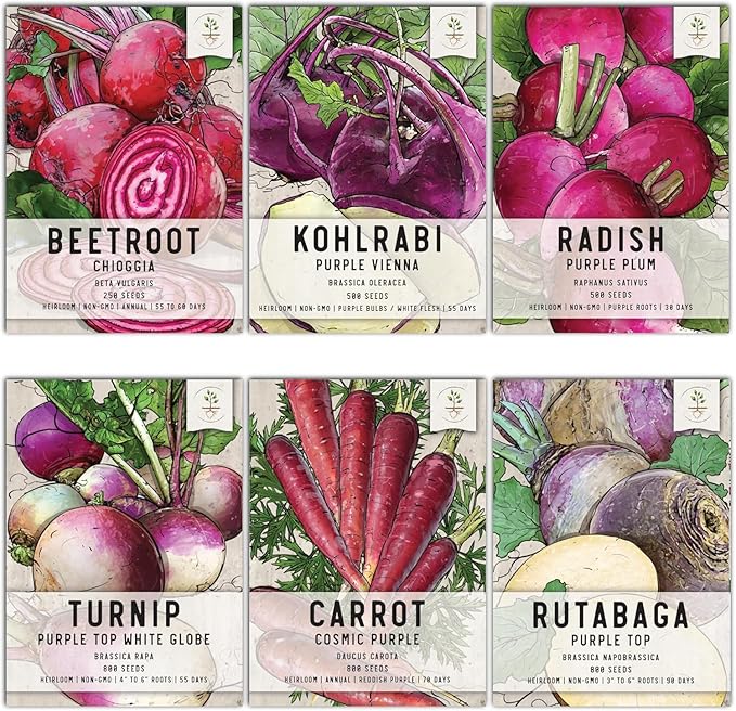 Seed Needs Edible Roots & Bulbs Variety Pack/Seed Collection Contains Rutabaga, Turnips, Beets, Radish & Kohlrabi - Grow a Home Grown Outdoor Vegetable Garden