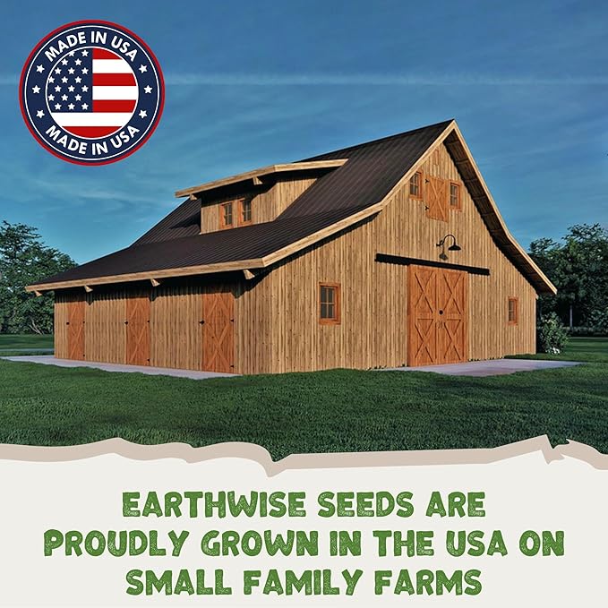 Earthwise EcoSeed Grass Seed – No Mow, Low Maintenance Lawn Seed Mix, Fine Fescue Blend, Drought Tolerant, Shade Tolerant, Organic, Chemical-Free – Covers Up to 1,000 sq ft, 5 lb