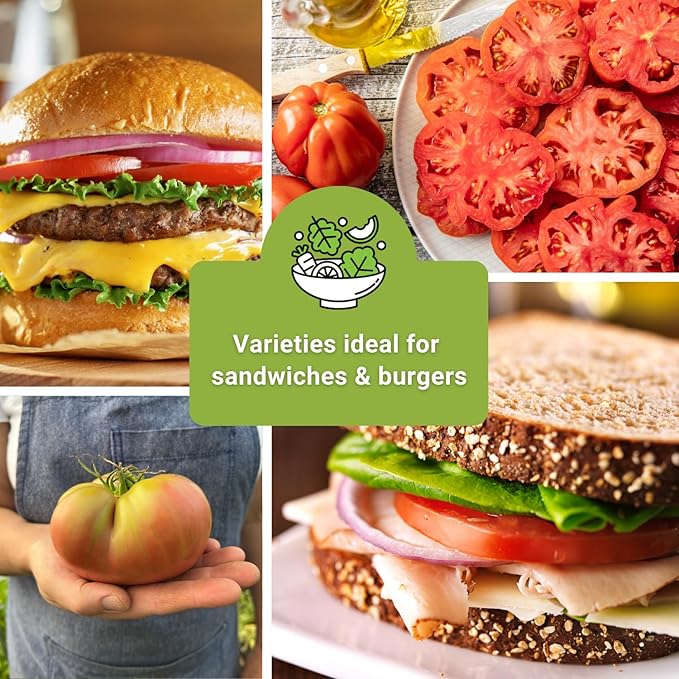 Sow Right Seeds - Beefsteak Style Tomato Seed Collection for Planting - Beefsteak, Kellogg's, Cherokee Purple, Mortgage Lifter & Ponderosa - Non-GMO Heirloom Varieties to Plant a Home Vegetable Garden