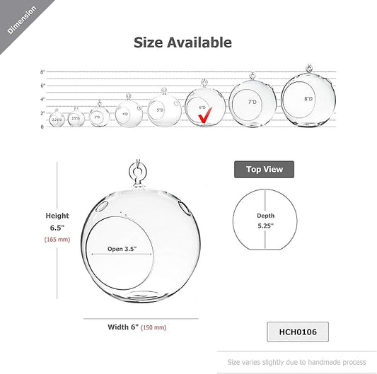 WGV Hanging Terrarium Globe, Width 6", Height 6.5", DIY Air Succulent Planter, Clear Glass Vase Orb with Flat Bottom, Candle Holder for Windowsill Outdoor Garden Decor, 6 Pieces Bulk