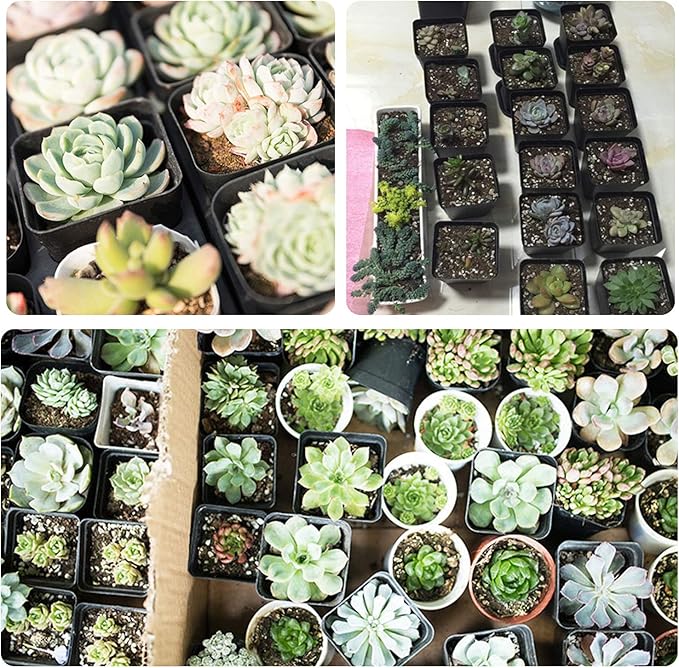Pastic Nursery Pots Square Plant Pot 25 PCS Durable Balck Starter Container for Starting Seedlings or Succulents (4 Inch)
