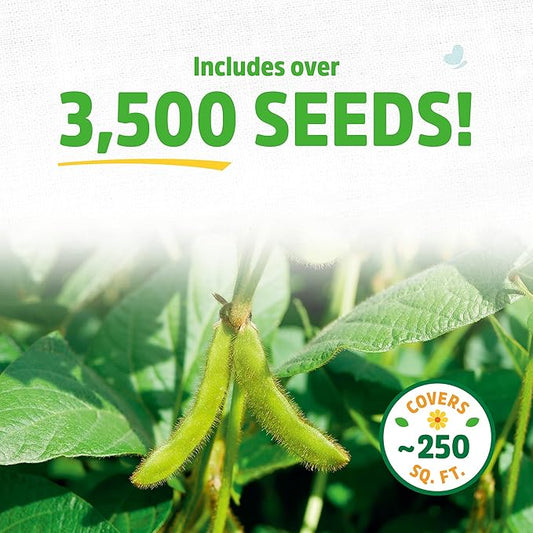 Back to The Roots 100% Organic Soybean Cover Crop Seeds, Covers ~1000 sq. ft.