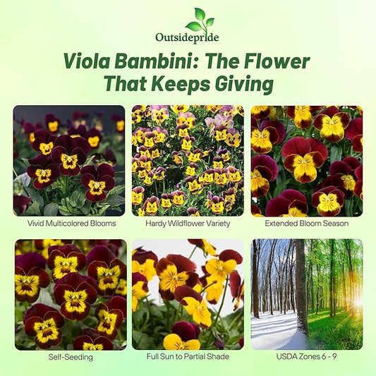 Outsidepride Bambini Mix Viola Pansy Seeds for Planting - 2000 Pcs. Perennial, Cold-Hardy & Pollinator Friendly Flowers with Fragrant Blooms for Garden Beds, Borders & Container Displays