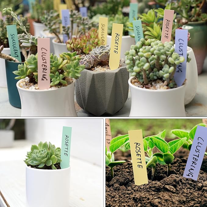 Mr. Pen- Plastic Plant Labels, 100 Pcs, 4", Pastel Colors Plant Markers, Tags, Garden Labels, Waterproof Markers for Outdoor Garden, Planting Sticks for Seeds