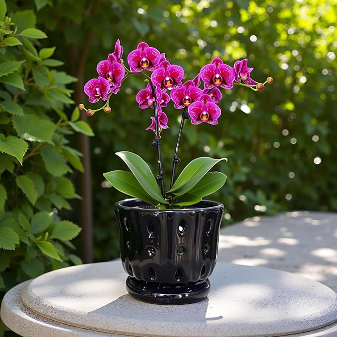 Ceramic Orchid Pot with Attached Saucer and Drainage Hole 6'' Orchid Planter (Black)