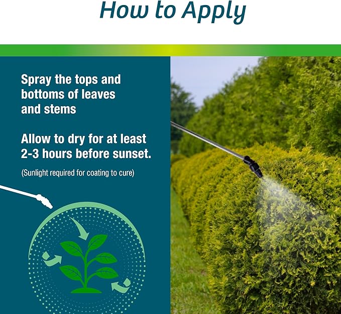 Wilt-Pruf® Concentrate | Protect Against Winter Damage, Drought, and Stress | Just Spray & Let Dry | Locks in Moisture w/Clear Foliar Film | Professional-Grade & Trusted | Replaces Burlap | (32 oz)