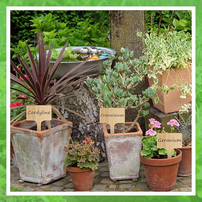 Hicarer 30 Pcs 30 Pack 5" x 9.4" Extra Large Bamboo Garden Markers, Natural Wood T-Type Large Plant Labels for Herbs, Flowers & Vegetables – Easy to Read Full-Size Tags for Garden Outdoor