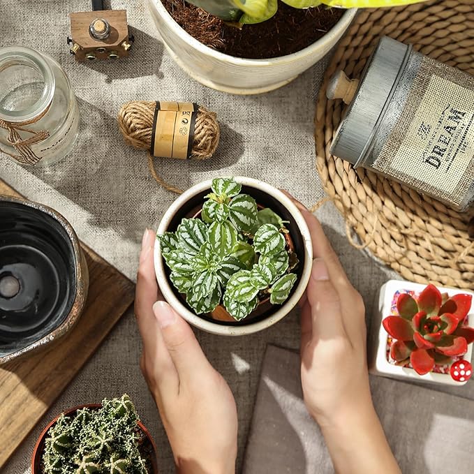 4+5.75 Inch Ceramic Planter Set of 2 with Drainage Hole and Saucer for Plants, Indoor-Outdoor Large Round Succulent Orchid Flower Pot -Reactive Color, Inner-pots not Larger Than 5 Inch