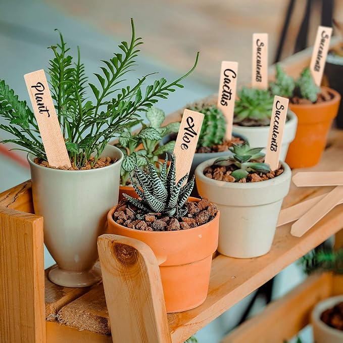 Whaline 50Pcs Wooden Plant Labels with A Marker Pen, Waterproof Pointed Wooden Plant Sign Tags Eco-Friendly Garden Markers for Seed Potted Herbs Flowers Vegetables (15 x 2 cm)
