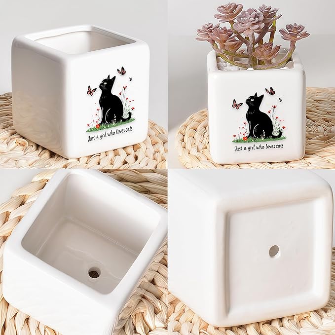 Black Cat Succulent Planter Flower Plant Pot Small, Gifts for Women Teens Girls Kids, Cat Lovers Themed Stuff Accessories Things Decor Merch, Home Office Table Desk Decoration!