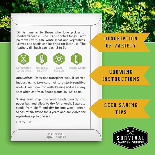 Dill Seeds for Planting – Bouquet Dill Seed to Plant for Pickling & Fresh Cooking, High Germination Non-GMO Heirloom Herb for Outdoor Growing – Survival Garden Seeds (5 Packs)
