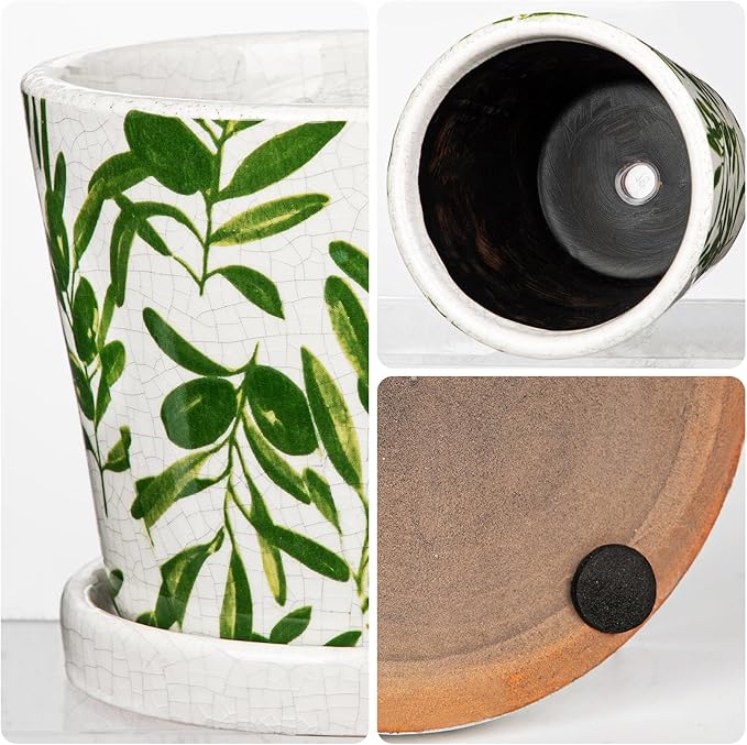 Oairse Small Ceramic Pot for Indoor Plants - 5.5 inch Plant Pot with Drainage Hole and Saucer Olive Leaves Decorative Planter Indoor Outdoor Flower Pots for Succulent Snake Pothos Plant Cactus Orchid