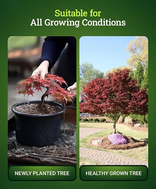 FoxFarm Happy Frog Japanese Maple Fertilizer - Hydrangea Fertilizer for Vegetative Growth & Strong Branch Development - 4-3-4 Blend with Soil Microbes & Mycorrhizal Fungi for Low pH Feeders - 4 lb