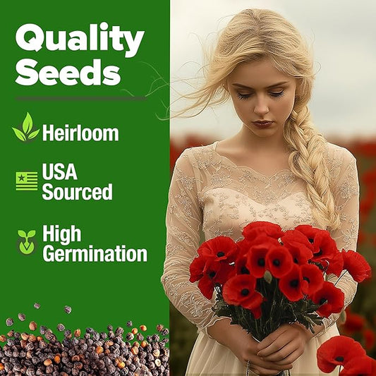 HOME GROWN American Legion Red Poppy Seeds - 6,000 Vibrant Wildflower Seeds for Planting Outdoors - Annual Poppy Flowers - Memorial Garden & Pollinator Friendly (Papaver rhoeas)