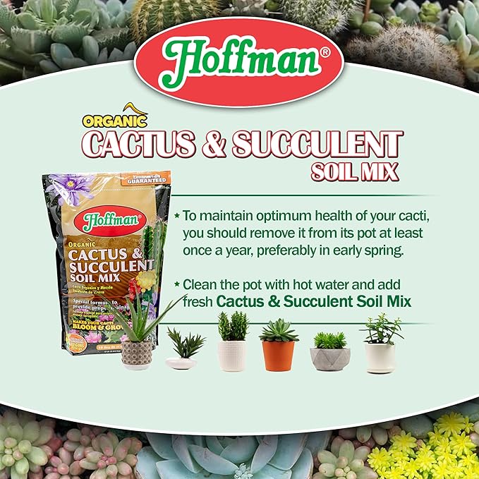 Hoffman Organic Cactus and Succulent Soil Mix to Provide Proper Drainage and Improve Growth in Cacti, 10qts, 3 Pack