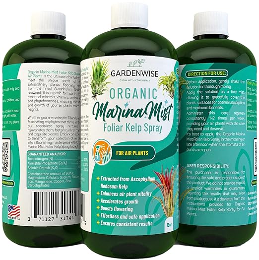 Organic Marina Mist Kelp Air Plants Fertilizer Spray | Plant Food for Tillandsia Air Plants | Air Plant Mister - Enhances Bloom, Vitality, and Pup Growth (8 OZ)