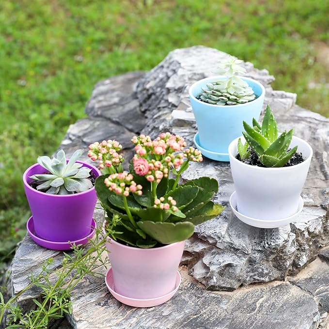 TDHDIKE 25 Pcs Plastic Planters Indoor Flower Plant Pots, Mini Flower Seedlings Nursery Pot/Planter/Flower Pot with Pallet, Modern Decorative Gardening Containers (Pink/White/Purple/Blue/Green)