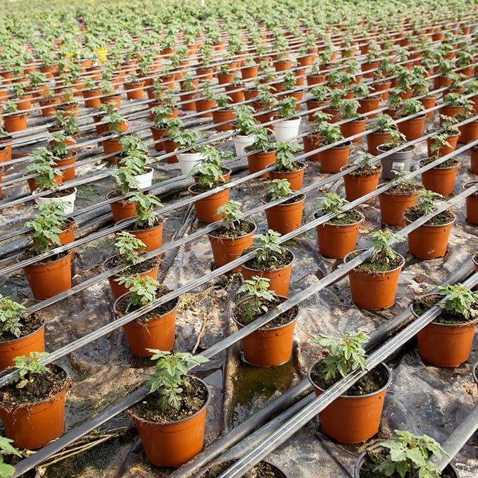 Hushee 1500 Pcs Plastic Plants Nursery Pots - Seed Starting and Seedling Planters With Drainage Holes for Indoor Outdoor Flower Transplanting
