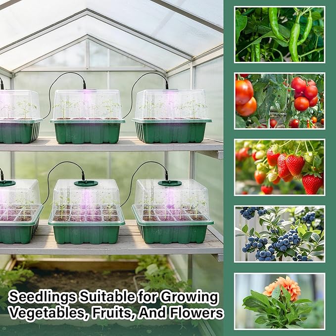 6 Pack Seed Starter Kit with Grow Light 72 Cells Plant Starter Trays with 3.9 Inch Adjustable Humidity Dome Reusable Indoor Plant Germination Tray for Gardening