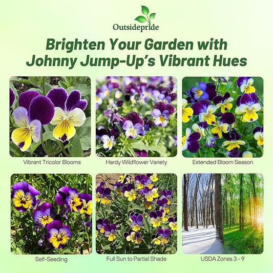 Outsidepride Johnny Jump Up Viola Wild Flower Seeds - 5000 Pcs Easy-to-Grow, Compact & Hardy Perennial Seeds for Planting Outdoors, Ideal for Pollinators, Garden Beds, Containers, & Hanging Baskets