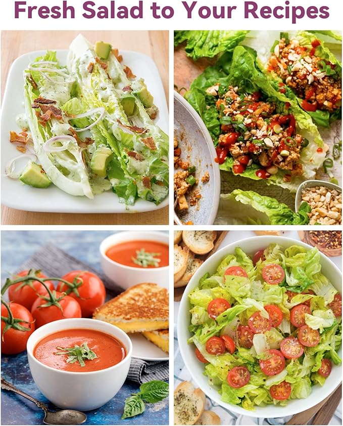 Salad Seed Pod Kits for AeroGarden, 8-Pods iDOO Hydroponics Growing System Herb Garden, Including American Fast Lettuce, Buttercrunch Lettuce, Red Cherry Tomato, 400+ Seeds