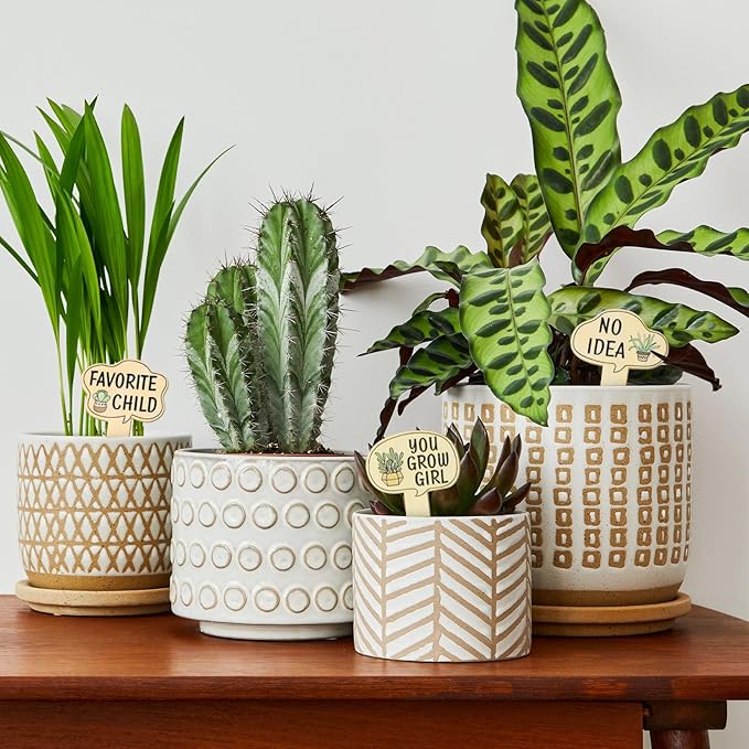 15pcs Garden Plant Markers, Wooden Plant Signs, Funny Plants Stakes, Plants Labels Tab Cute Words Patterns Garden Tags for Indoor Outdoor Patio Home Decoration Gifts