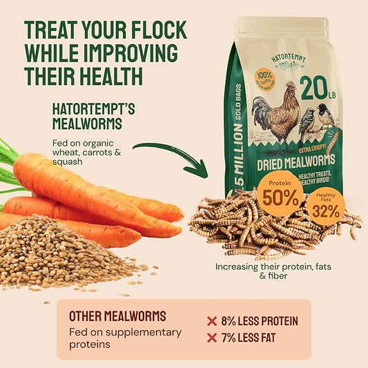 Hatortempt 20lb Dried Mealworms for Chickens - 50% Protein and 32% Essential Fats to Support Healthy Feather Growth During Molt - Organic Treats for Chickens, Ducks, Wild Birds & Reptiles