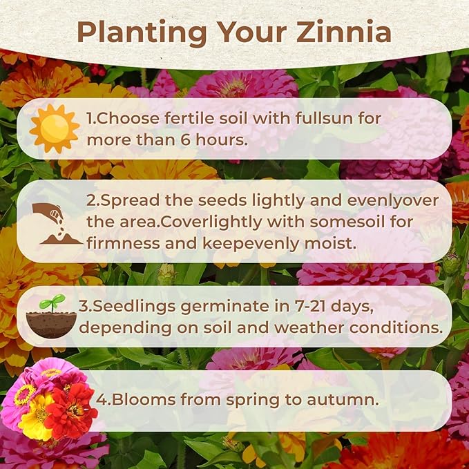 16000+ Zinnia Flower Seeds for 2026-7+ Color Mix, High Germination Rate, Perfect for Gardens, Mix Zinnia Wildflower Seeds, Mixed Colors and Large Blooms, Easy to Grow, Large 4 Ounce Packet