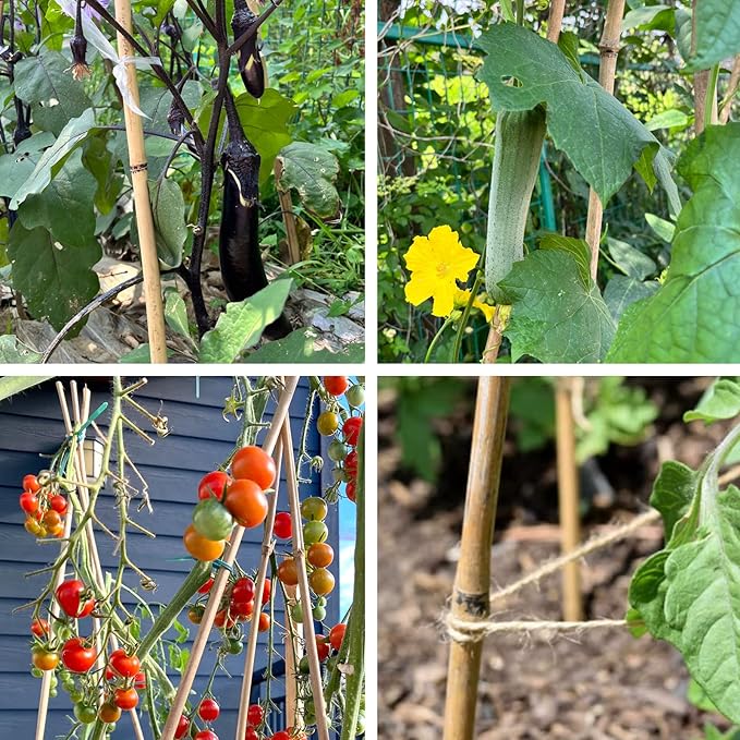 Bamboo Stakes 7 Feet, Natural Plant Stakes for Tomatoes, Climbing Plants Support, Tall Garden Stake - 15 Pack Bamboo Poles