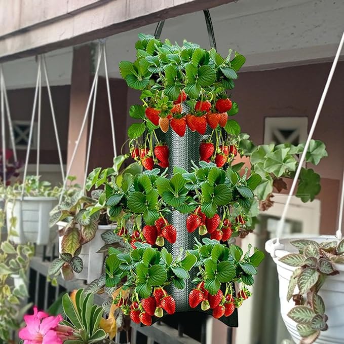 Upside Down Planter Tomato Herb Strawberry Grow Bags | 8 Hanging Grow Bags for Tomato Chili Herb Strawberry,Hanging Aeration Fabric Strawberry Planter Bags for Growing Herbs Flowers