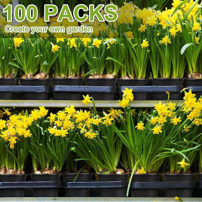 GroTheory 100 Pack 1 Gallon Nursery Pots, 6.7 Inch Plastic Pots for Plants, Plastic Flower Pots, Plant Pot, Seedling Pots for Potting, Seed, Succulent, Planting Pots with Plant Labels