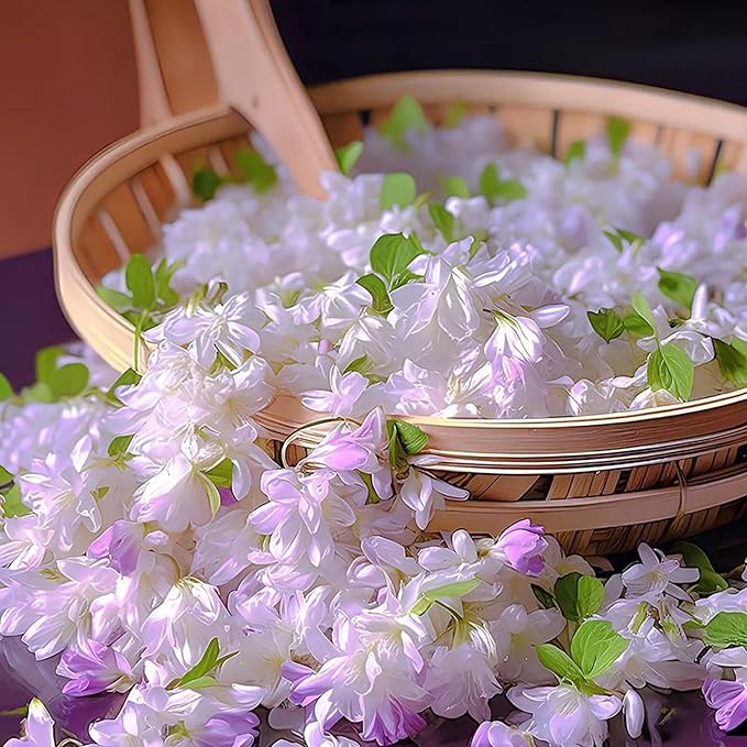 Mix Climbing Double Jasmine Seeds for Planting, 250+pcs Perennial Fragrant Climbing Jasmine Flower Seeds Plants, Heirloom Non-GMO Beauty Climber Flowers for Home Garden Outdoors