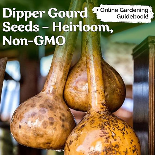 KVITER 10 Dipper Gourd Seeds (Lagenaria Siceraria) – Long Handle Dipper Gourd, Heirloom Seeds Non GMO Organic – Perfect Gourds for Crafts – Great for Outdoor Vegetable Garden, Containers & Trellises