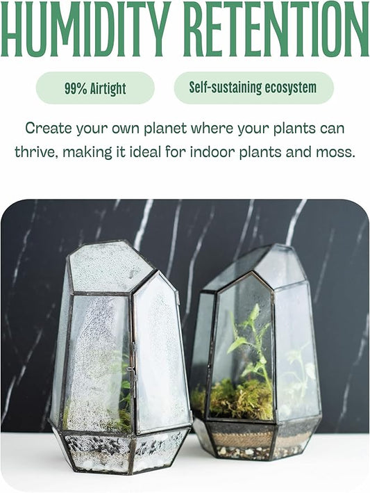 KraftStories Clear Glass Terrarium with Door | Geometric Design Container | Ideal Planter for Moss and Indoor Plants | Maintains Humidity | Self-Sustaining Indoor Garden Ecosystem (Only Terrarium)