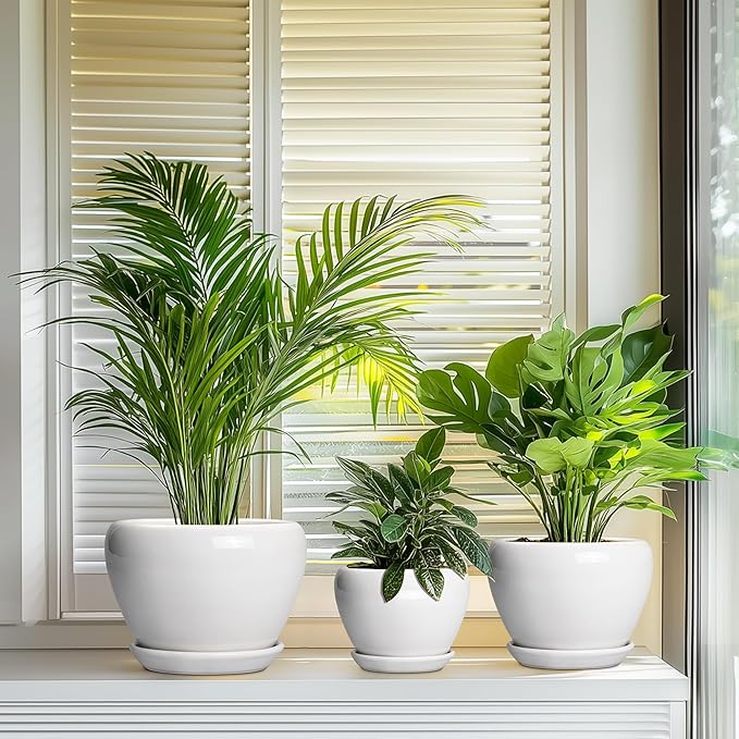 10+8+6 Inch Ceramic Planter, Ceramic Pots for Plants Indoor Outdoor, Round Plant Pots with Drainage Holes and Saucers, Modern Planter, Home Decor, Gardening Gifts for Women, Set of 3, White