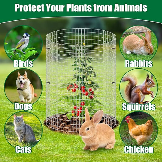 10 Set Garden Plant Protector Cage, 11.8''x11.8'' Metal Wire Protectors for Plants, Protection Cages with Stakes Nylon Ties, Animals Barrier to Keep Chicken Rabbit Away from Plants Flower Vegetables