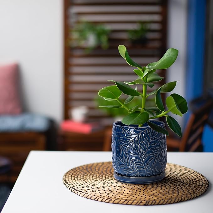 D'vine Dev Embossed Leaves Design 4 Inch & 6 Inch Stoneware Planter Pot with Drainage Hole and Saucer, Blue, 27-B-U-3