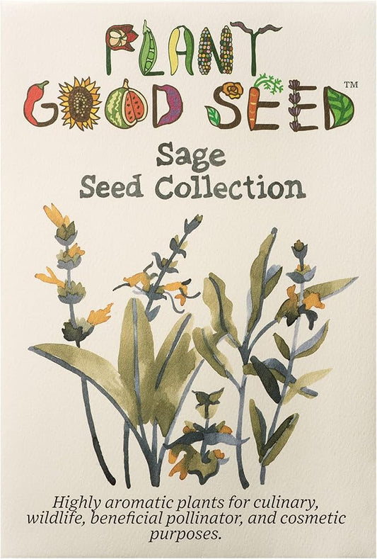 Plant Good Seed Organic Sage Seed Collection - 5 Packets - Black, Clary, Garden, Purple, White Heirloom Seeds for Planting Herbs - Gardening Supplies, Herb Garden, Flower Seeds to Plant Outside
