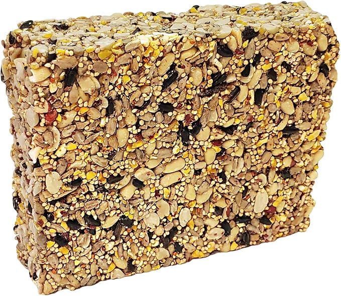 Songbird Treats Seed Cake Variety 4 Pack | 8 oz Bird Seed Cakes for Wild Birds