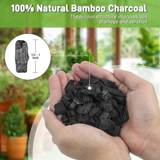 9 Quarts Horticultural Charcoal for Indoor Plants-Hardwood Potting Soil Amendment for Orchids, Succulent, Cactus, Terrariums, and Gardening