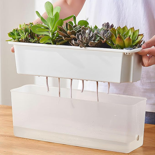 FAMZ Self Watering Pots for Indoor Plants 3 Pack Transparent Rectangular Planting Self Watering Planter,Vegetable Planters for Windowsill Patio Garden Balcony Home Porch Yard Indoor Outdoor (White)