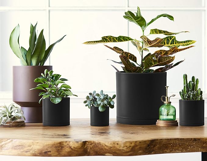 D'vine Dev 10 Pack Plastic Plant Pots for Plants, 6.5/6/5.5/5/4.5/4/3.5/3/2.5/2 Inch Indoor Planters Cylindrical Succulent Pot with Drainage Hole and Saucer, Black, 74-S-B