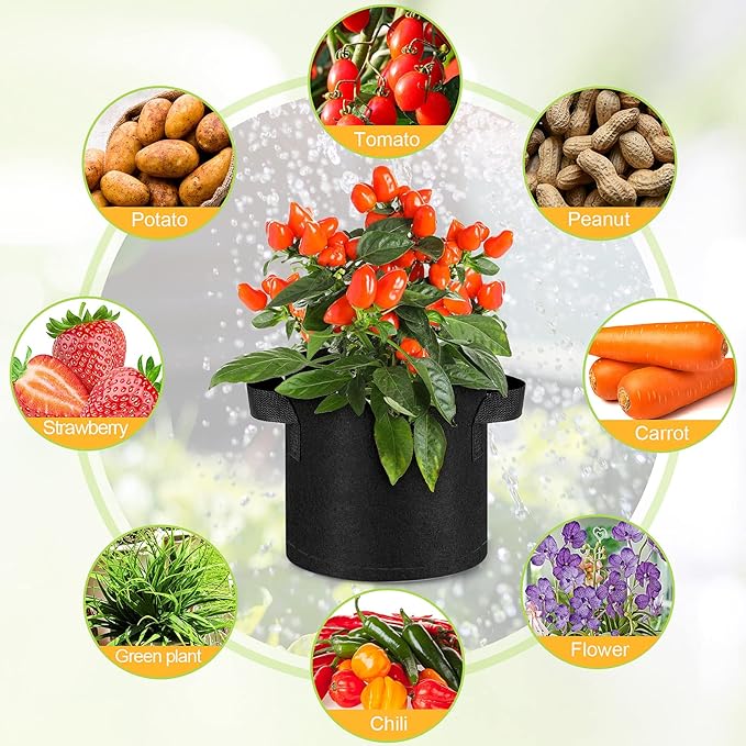Nuanchu 60 Packs Grow Bags Bulk Aeration Fabric Pot with Handles Thickened Nonwoven Garden Bags to Healthy Root Growth Vegetables Heavy Duty Grow Pots Planting Planter for Flower Fruits (2 Gallon)