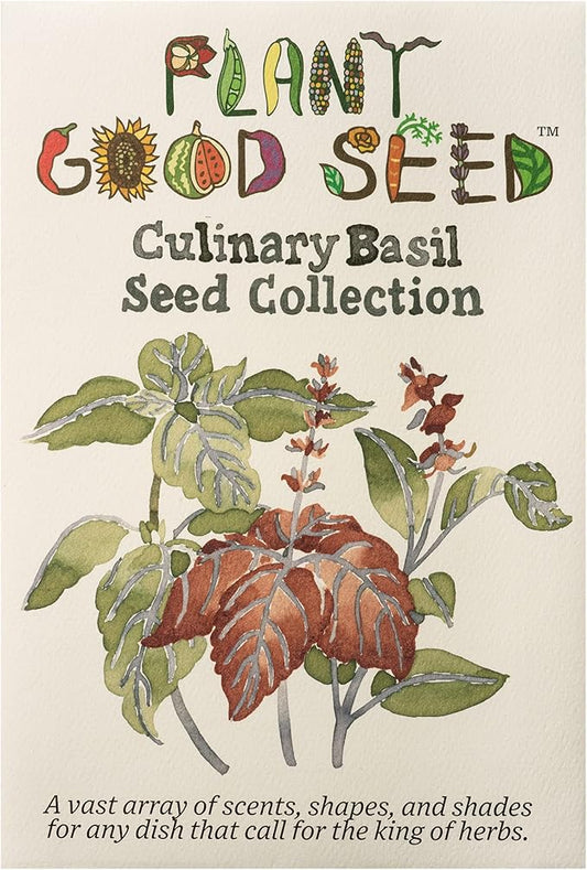 Plant Good Seed Organic Culinary Basil Seeds for Planting: Heirloom Variety Pack, Amethyst, Genovese, Italian Large Leaf, Mrihani, Prospera F1, Thai - 6 Packet Collection