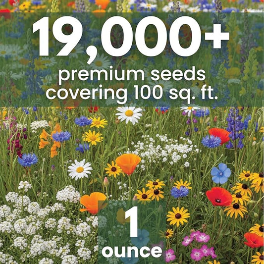 California Regional Mix – 19,000 Seeds for Planting – 2026 Season – 1 Ounce Pouch